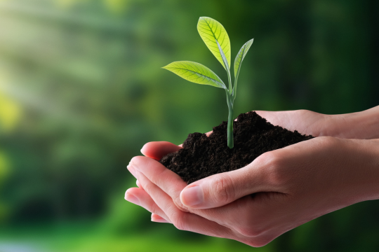 Thumbnail Green Challenge