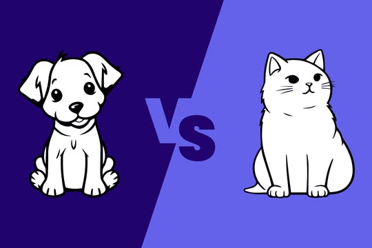 Card thumbnail This or That - Dog or Cat