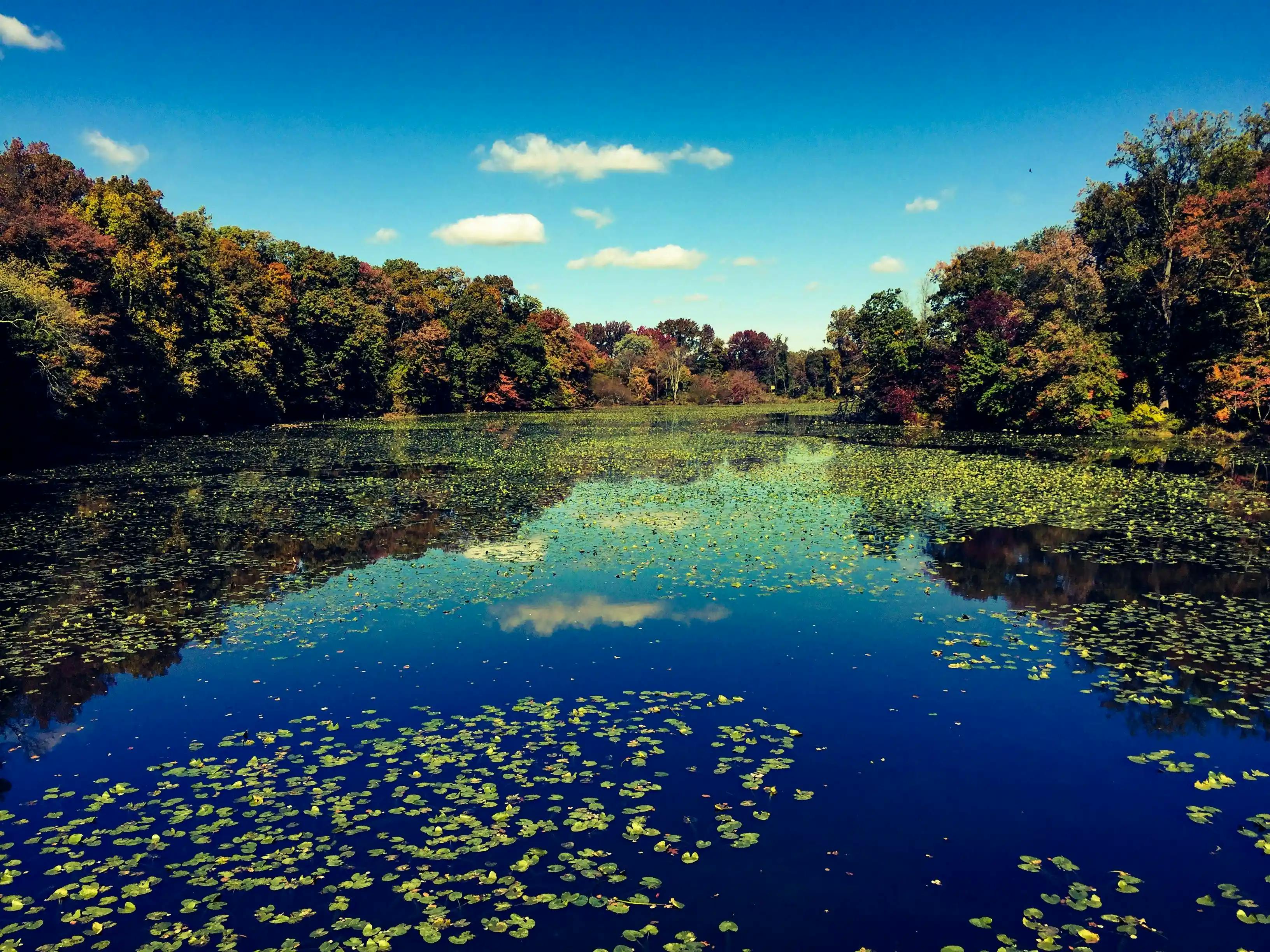 Tailored DSCR application for Delawareans