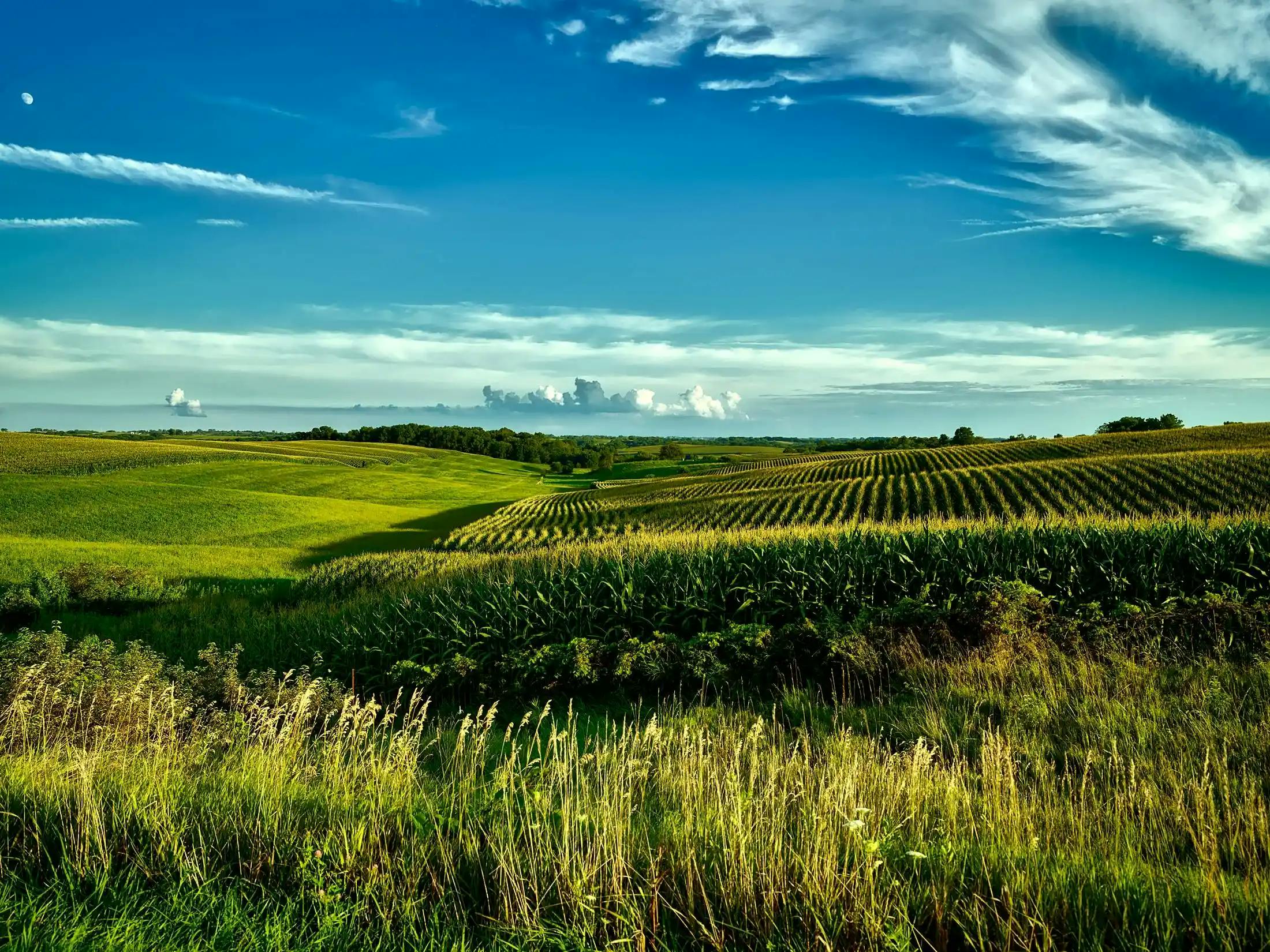 Tailored DSCR application for Iowans