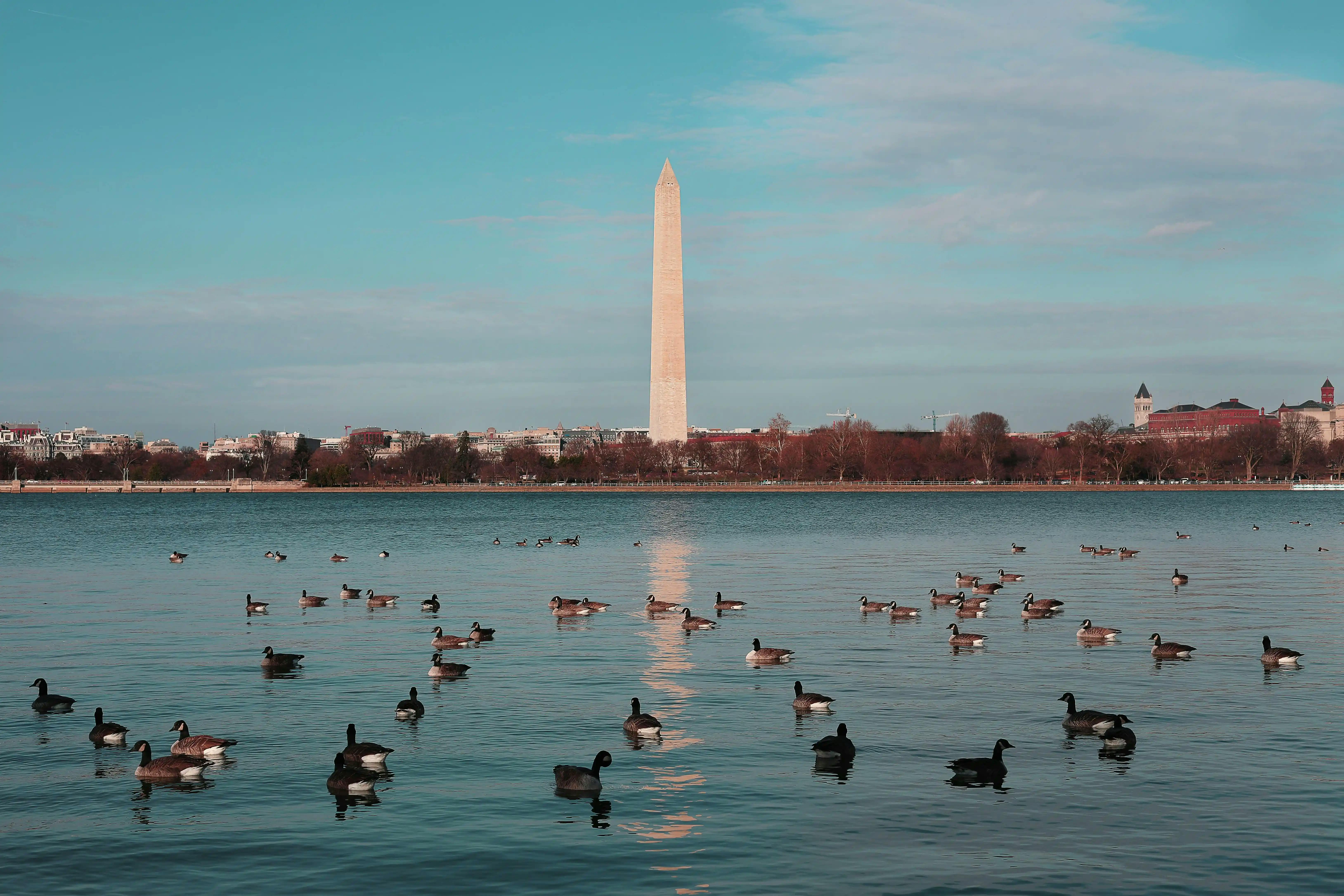 Tailored DSCR application for DC locals
