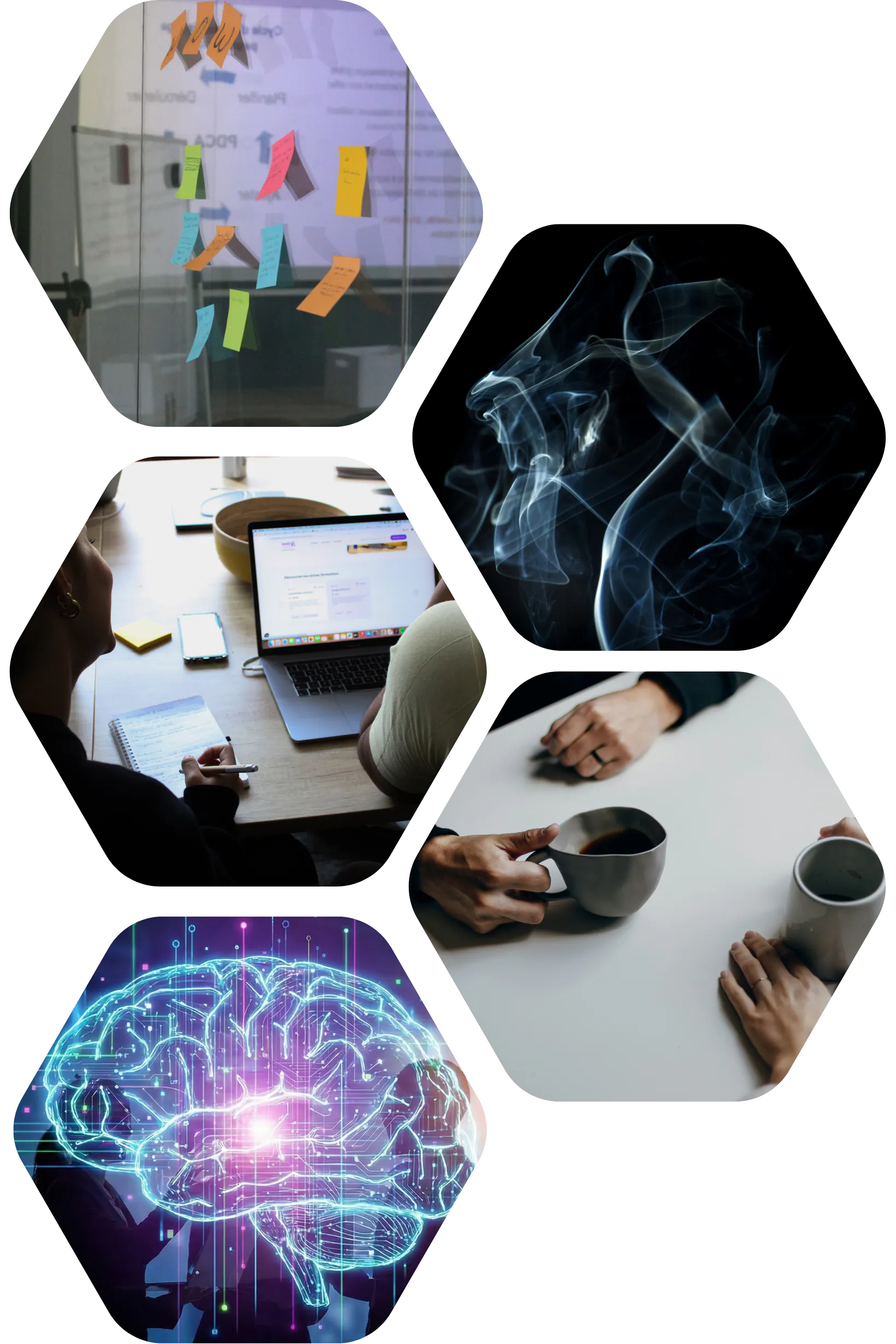 Un accompagnement 360°