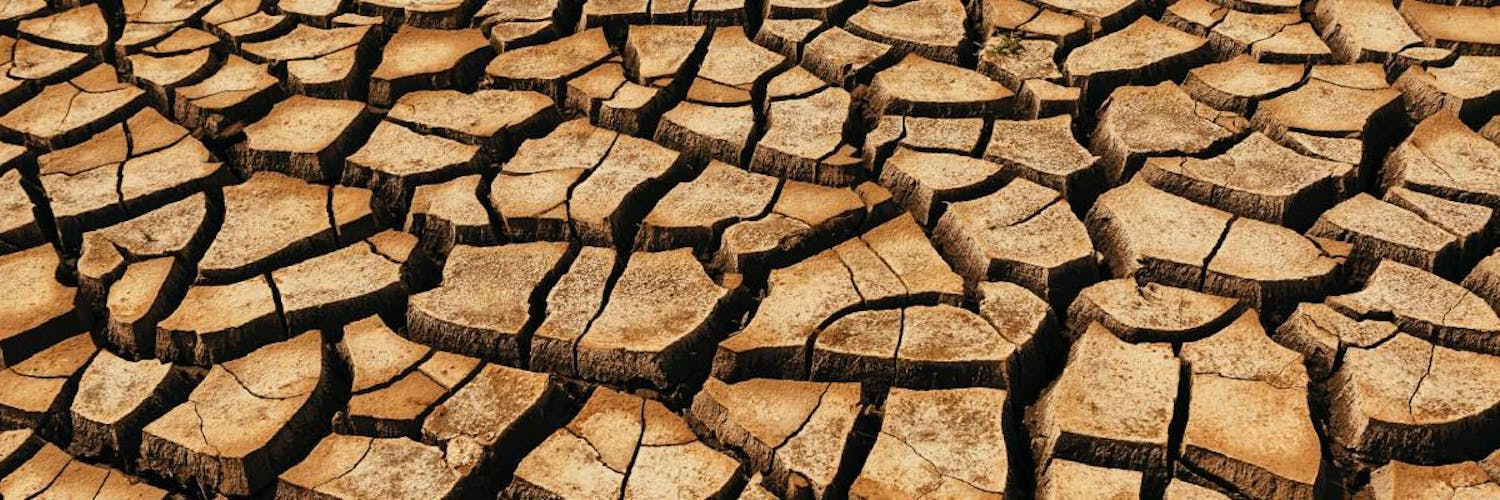 Falta de irrigação: Parar e tomar medidas