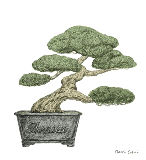 Le Bonzaï, ce merveilleux petit arbre et sa symbolique - Autant