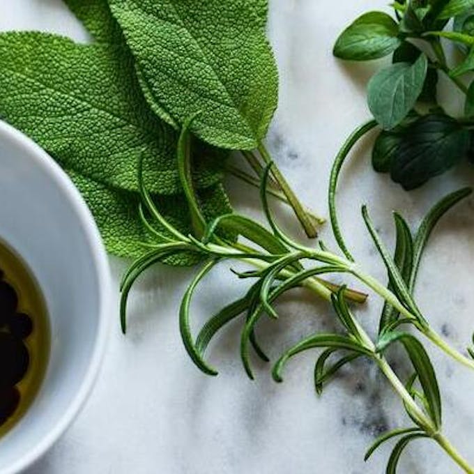 Powerful and fragrant trio: Care and use guide for sage, rosemary and thyme