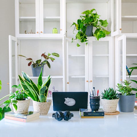 Certains des espaces que nous avons déjà remplis de vert et de vie.