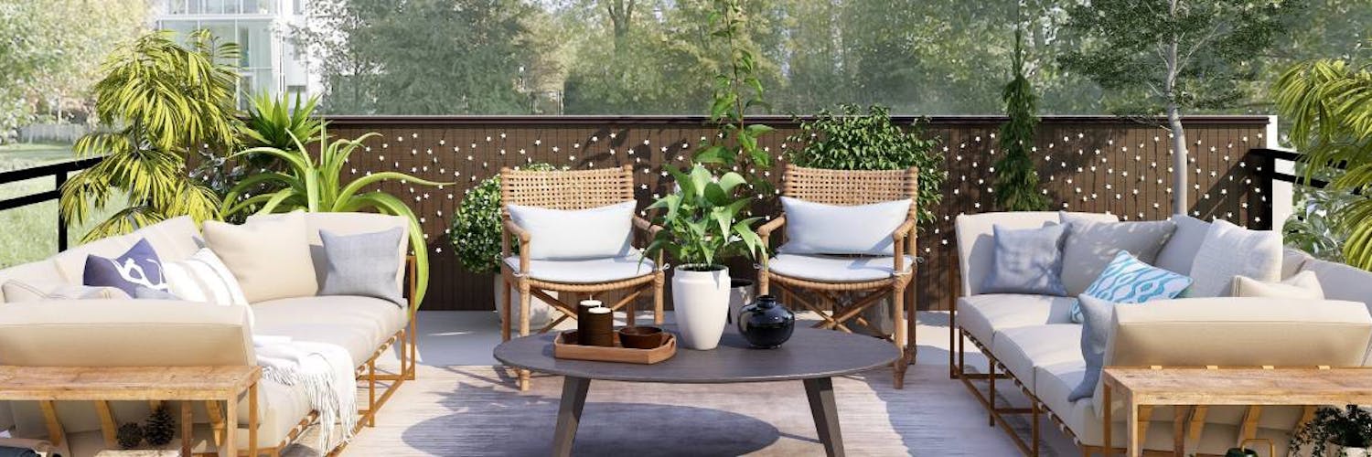 What plants to put on a terrace?