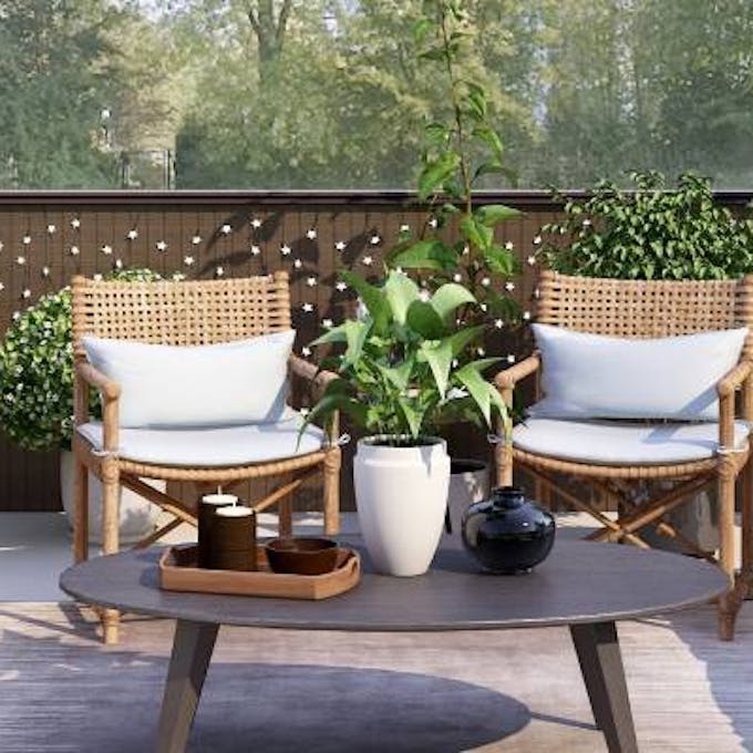 What plants to put on a terrace?