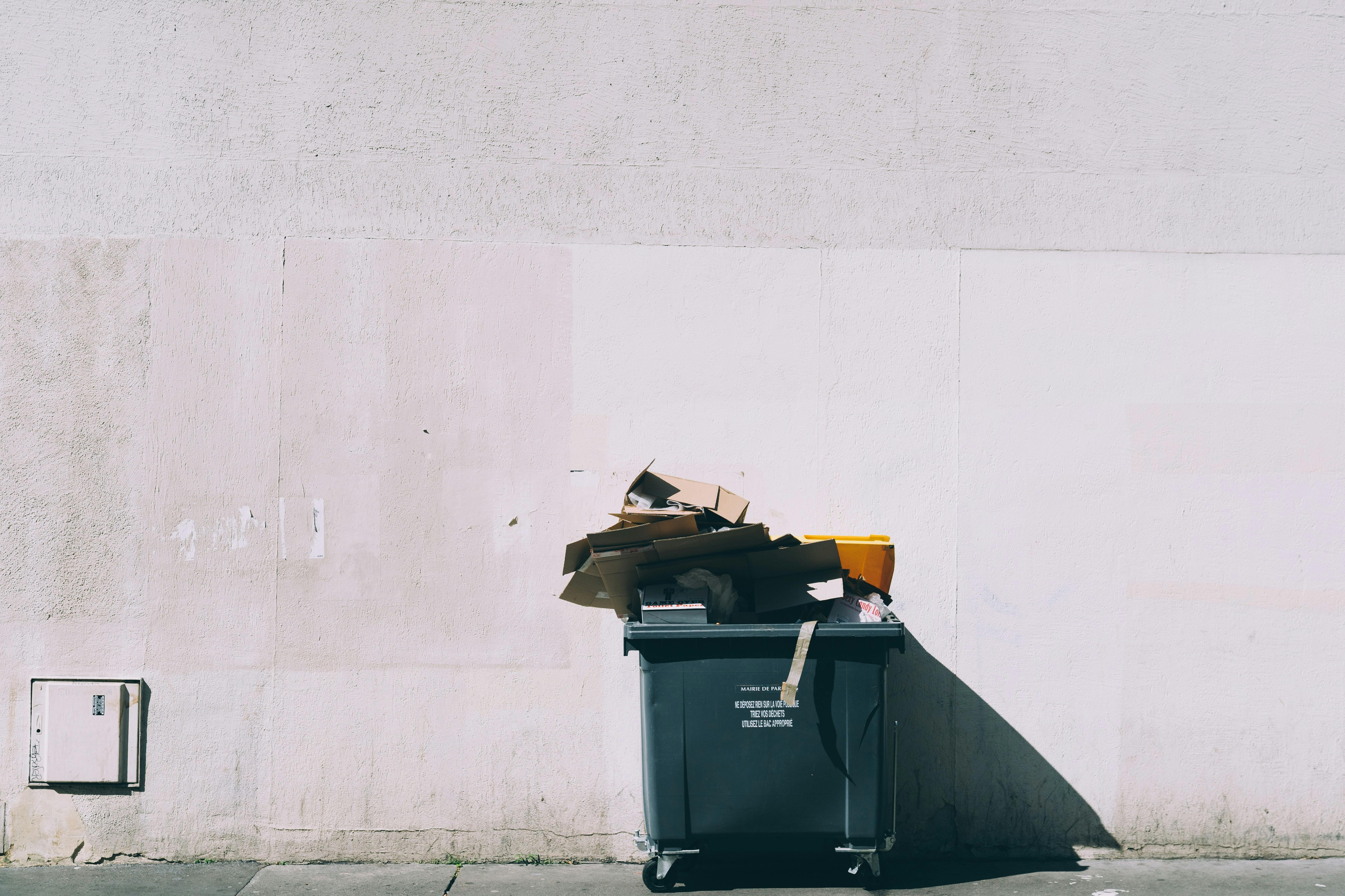 Let's Talk About Trash, Baby! Der große Beige Guide zum richtigen Mülltrennen