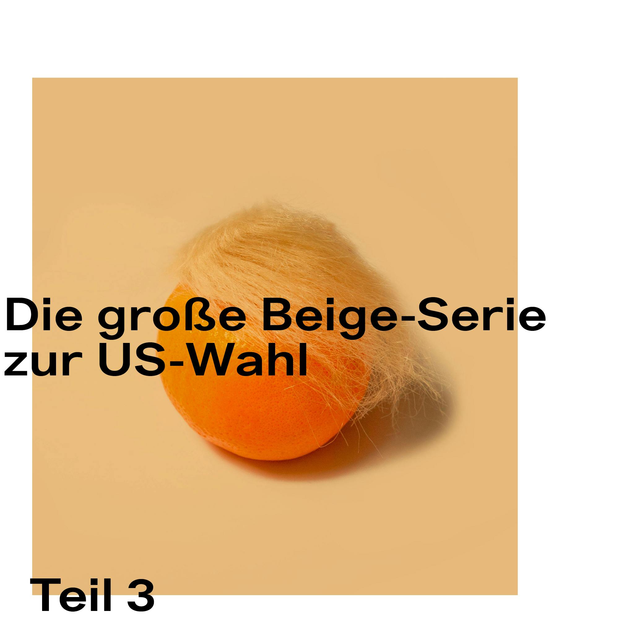 Die große Beige-Serie zur US-Wahl 2020: Teil 3 – Ein letzter Check