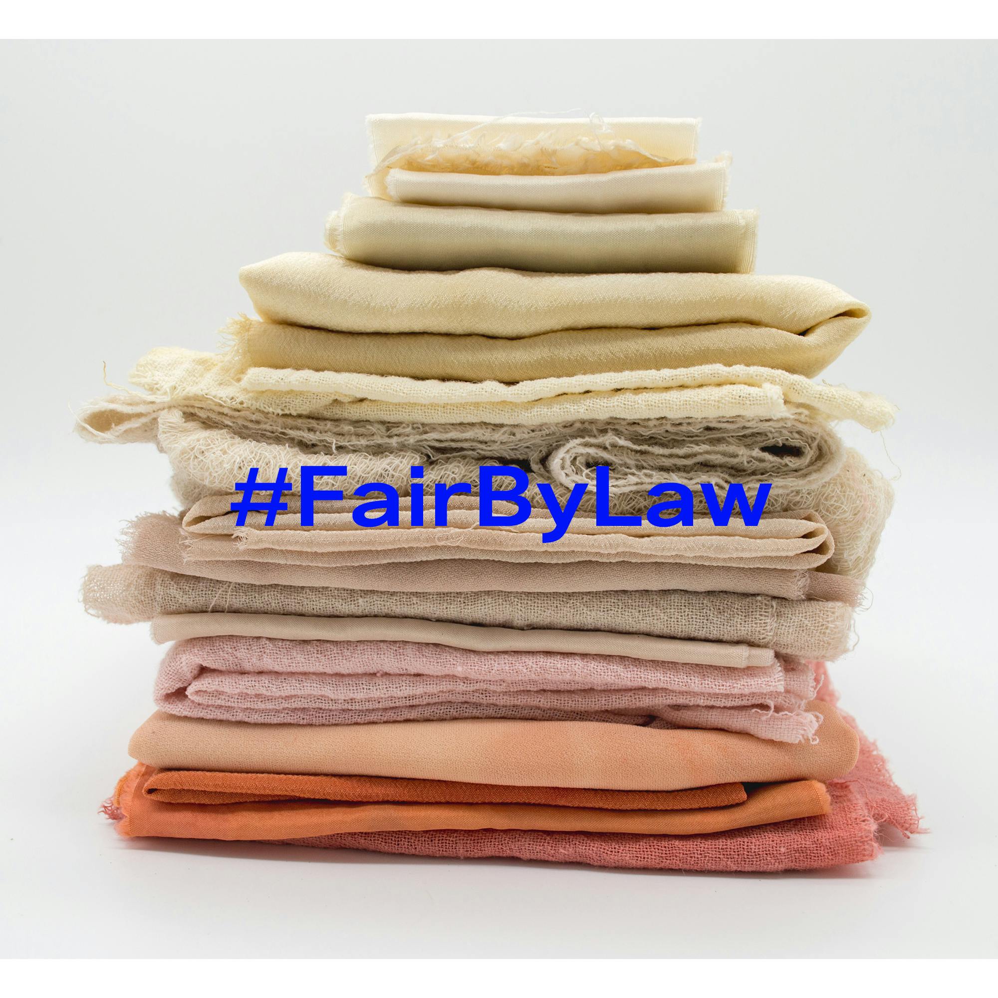 Wie der Hashtag #FairByLaw zu einem Gesetz wurde – Lisa Jaspers im Interview