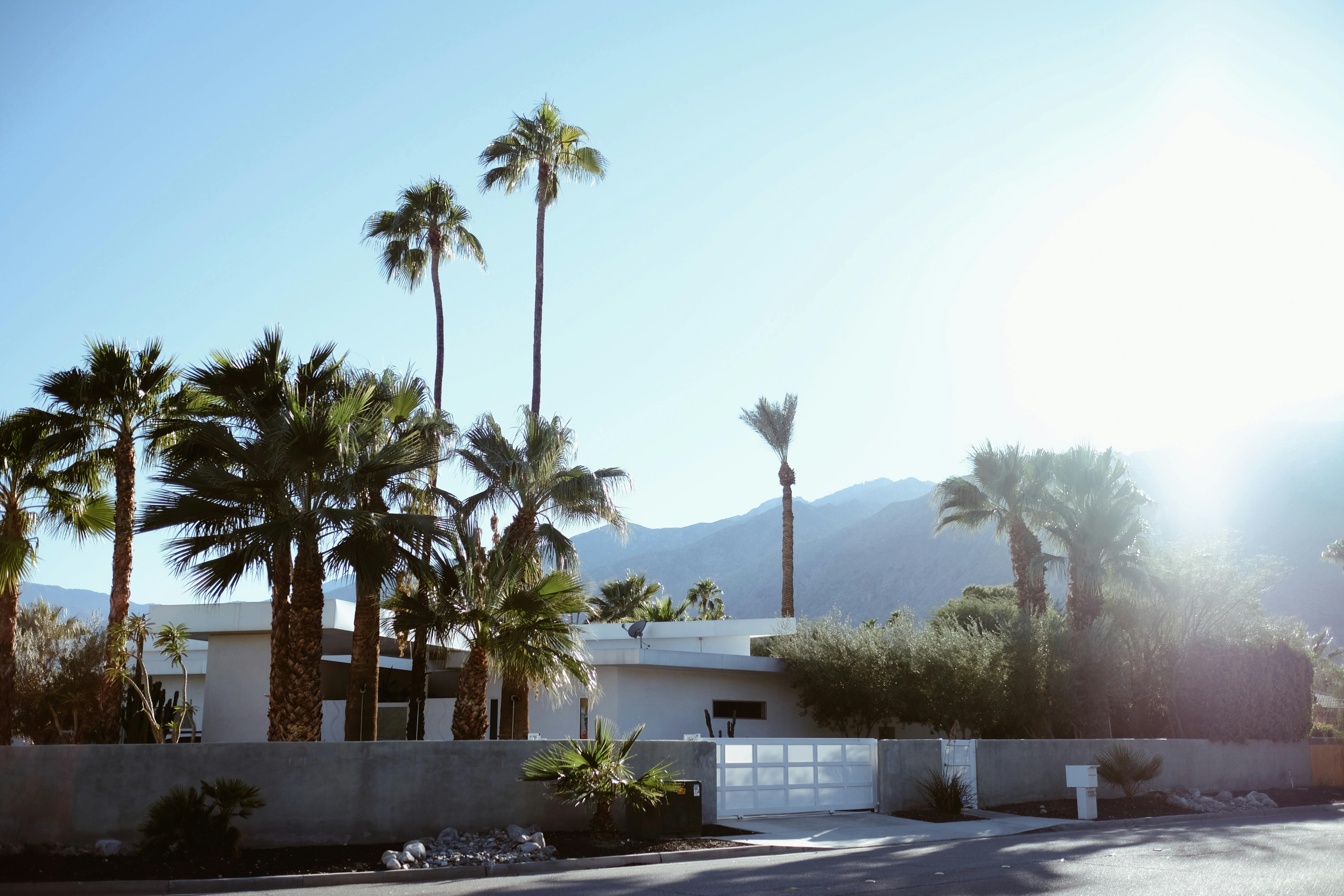USA-Reisetagebuch Teil II: Palm Springs und Pioneertown