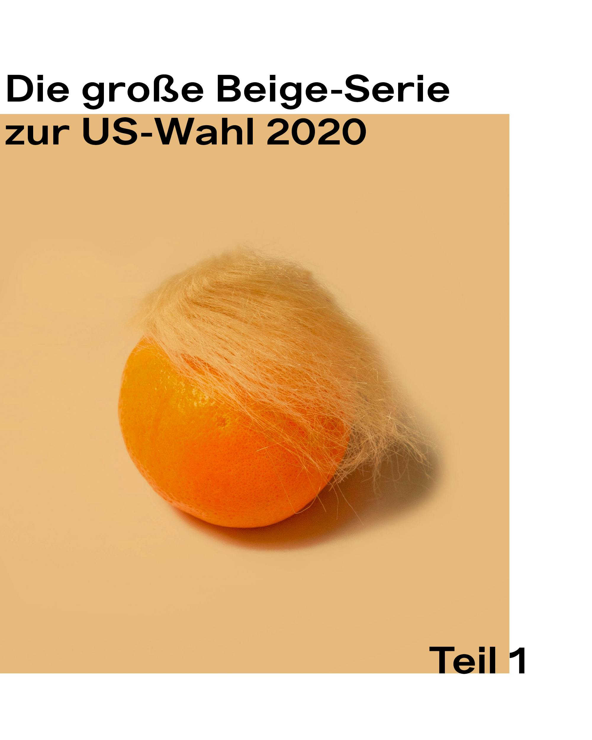 Die große Beige-Serie zur US-Wahl: Teil 1 – Amerikas Wahl um die Demokratie 