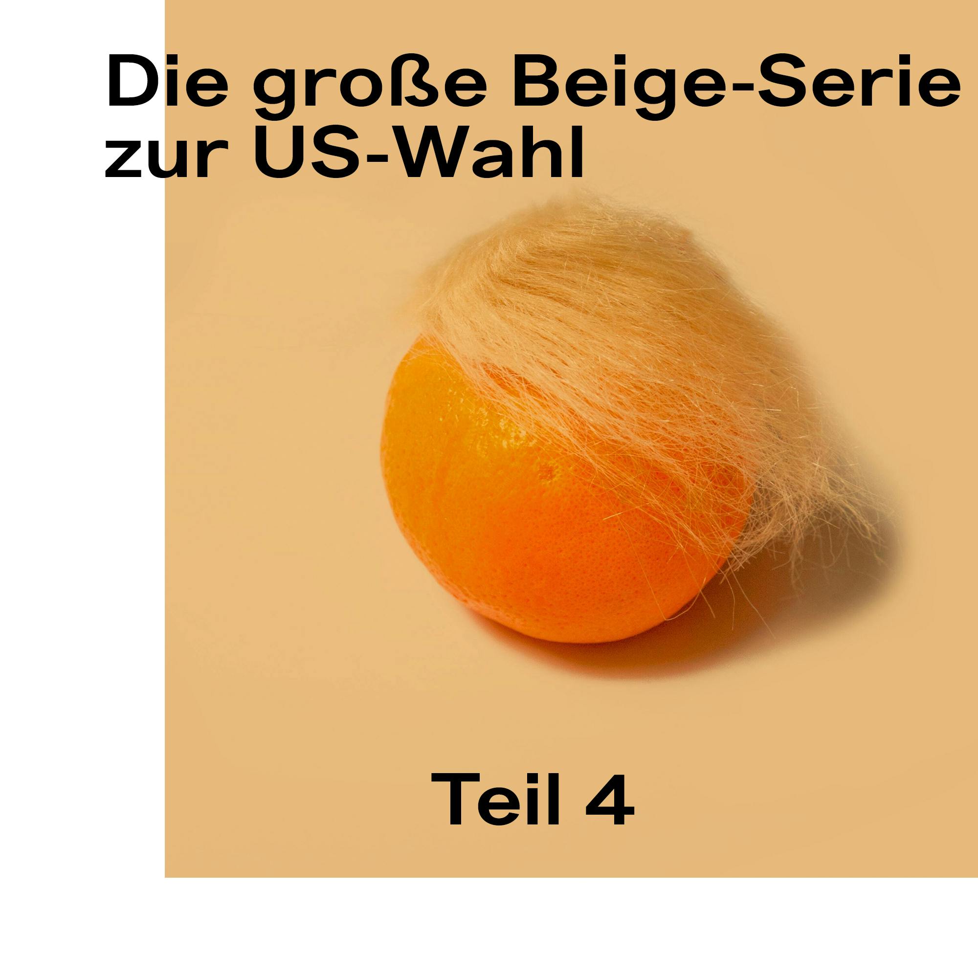 Die große Beige-Serie zur US-Wahl 2020: Teil 4 – Hoffnungen und Wünsche junger Amerikaner*innen