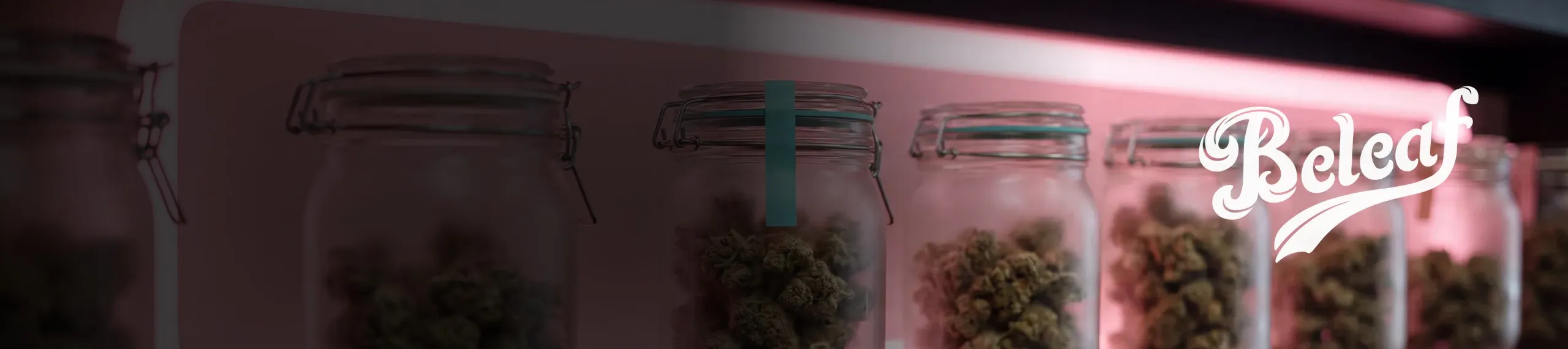 Cannabis jars on a pink neon lit shelf with the Beleaf wordmark