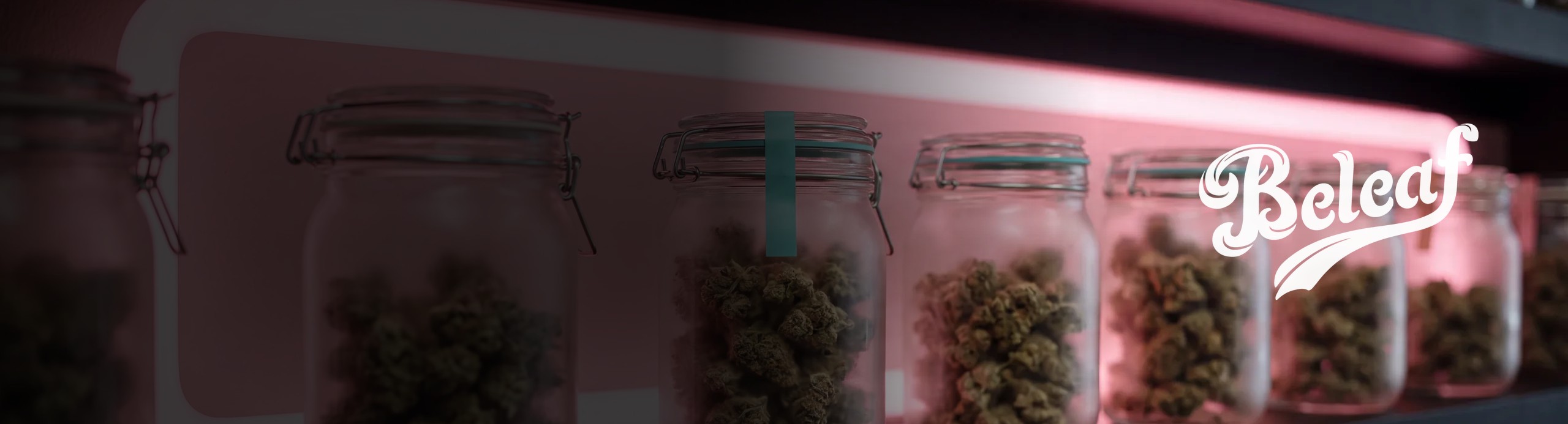 Cannabis jars on a pink neon lit shelf with the Beleaf wordmark