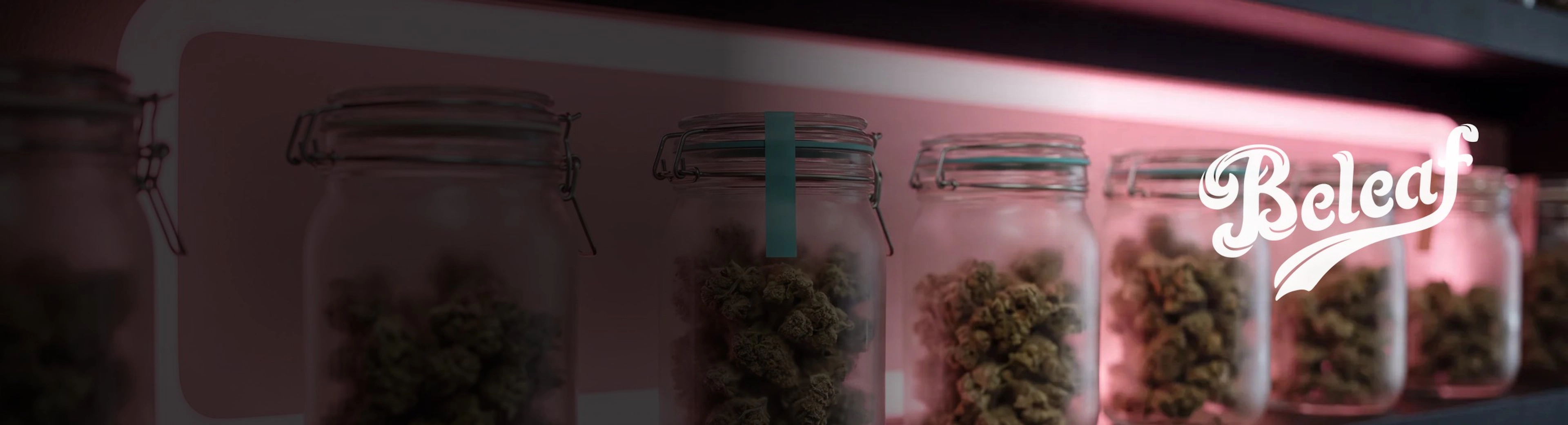 Cannabis jars on a pink neon lit shelf with the Beleaf wordmark