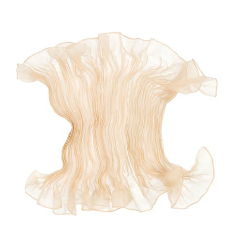 Hand pleated organza scarf, naturally dyed with tea. I like to call it the Jellyfish scarf.