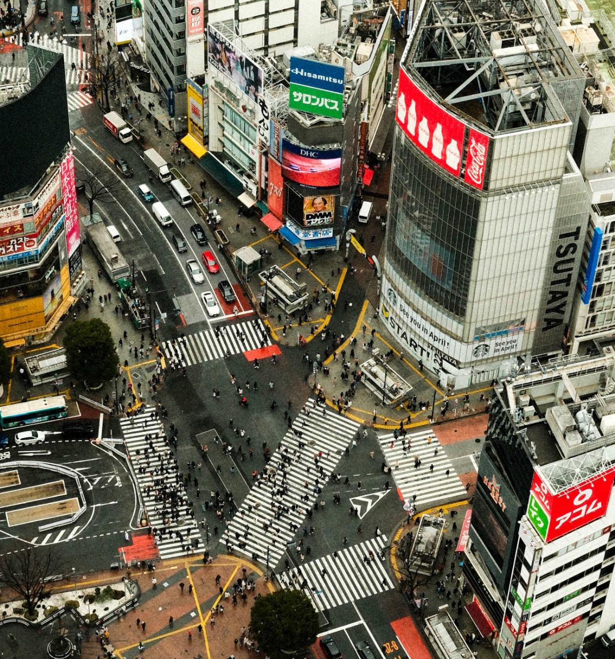 Favorite City, Tokyo Japan