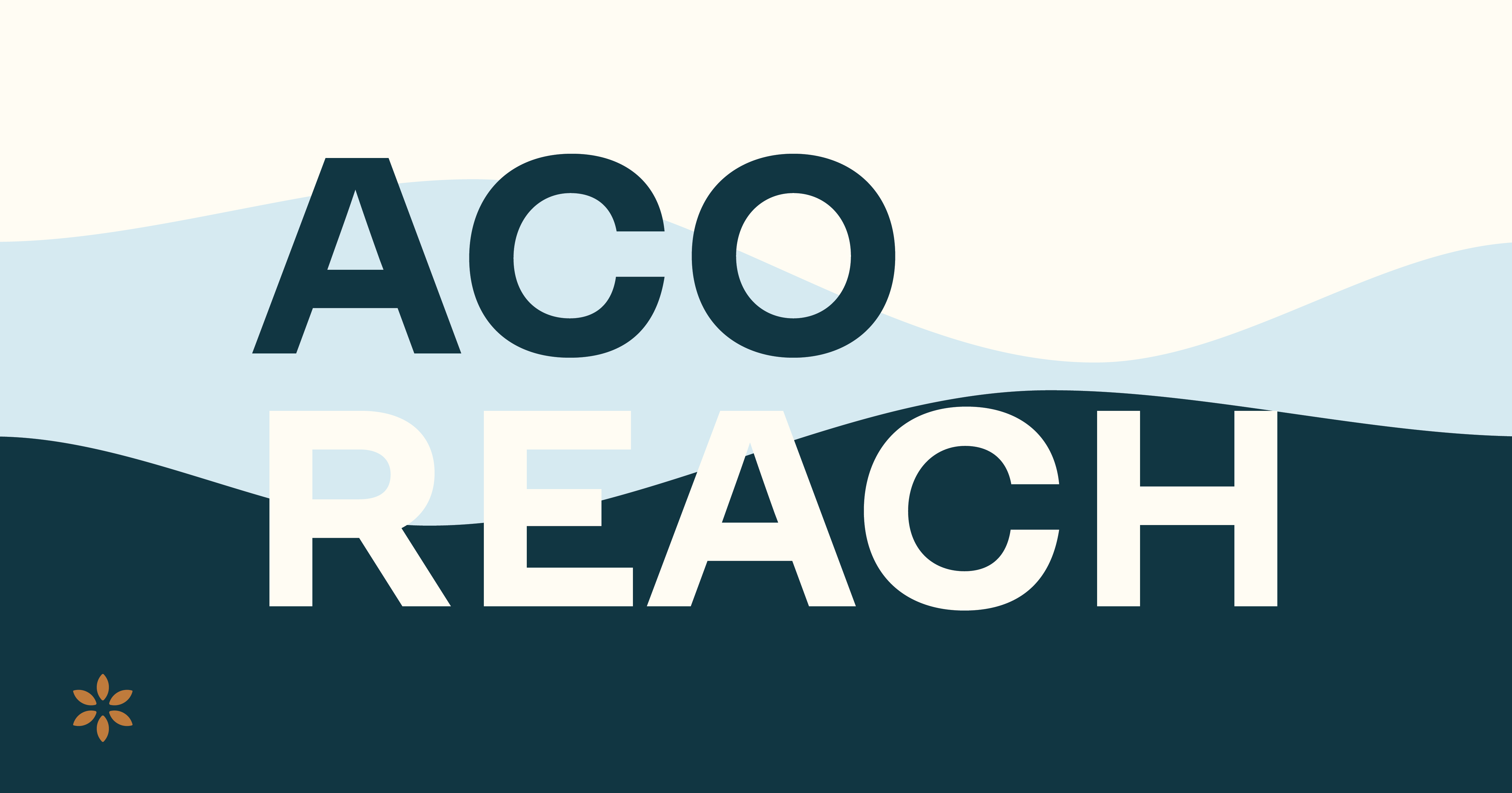 Belong Health ACO REACH Program launch and lessons learned