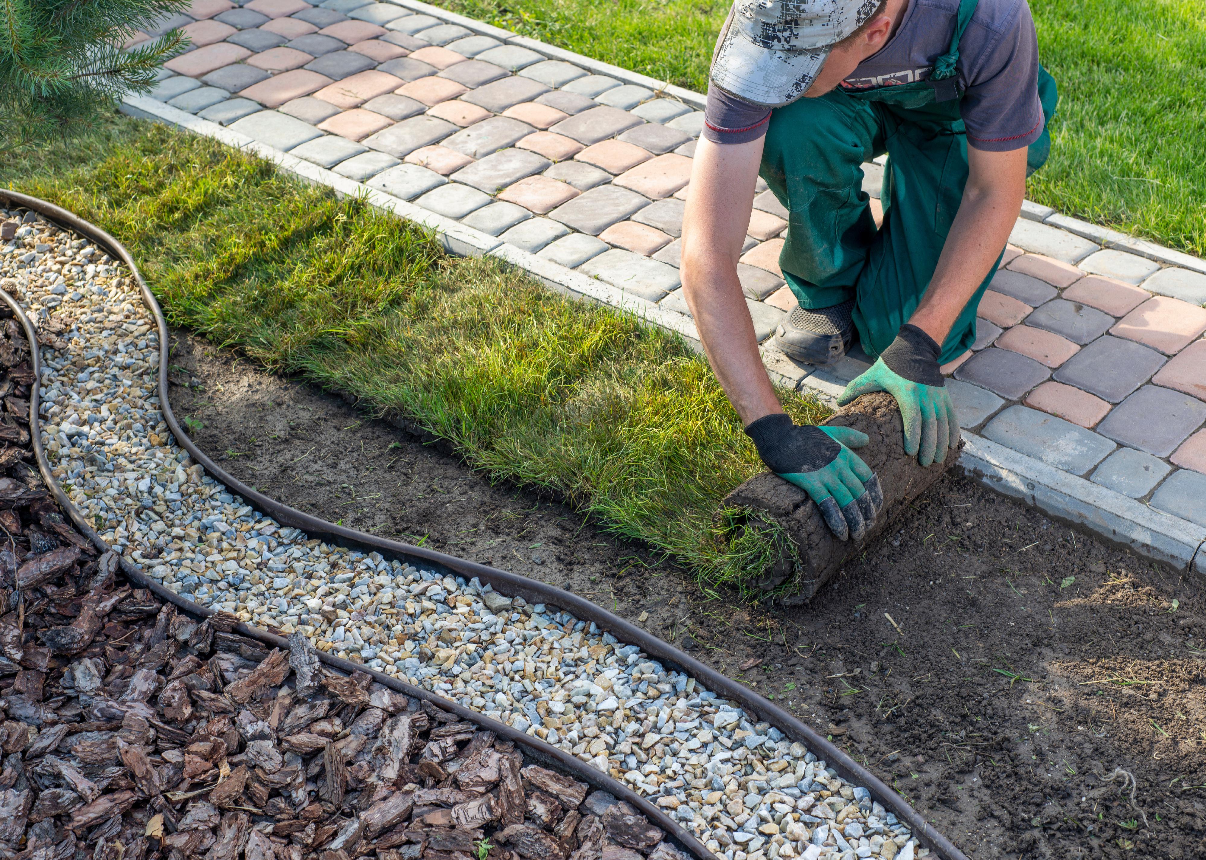 A gardening contractor rolls out fresh new turf in a front lawn 