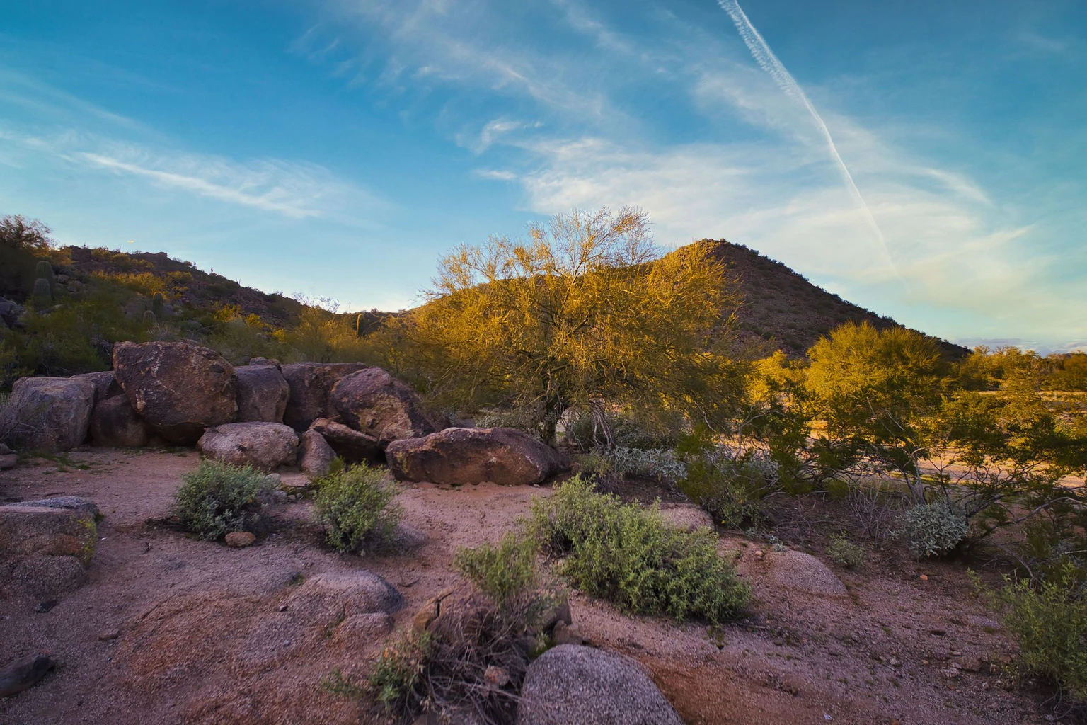What Does Resident Turnover Cost in Phoenix? (2025 Data)