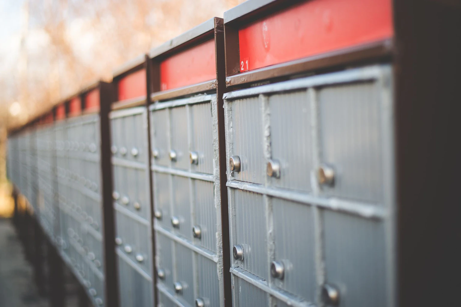 How Belong Handles Owner Payouts: Payment Schedule, Timing, and What to Expect