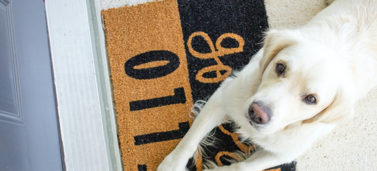 A white golden retriever lays on a welcome mat at a home's front door.
