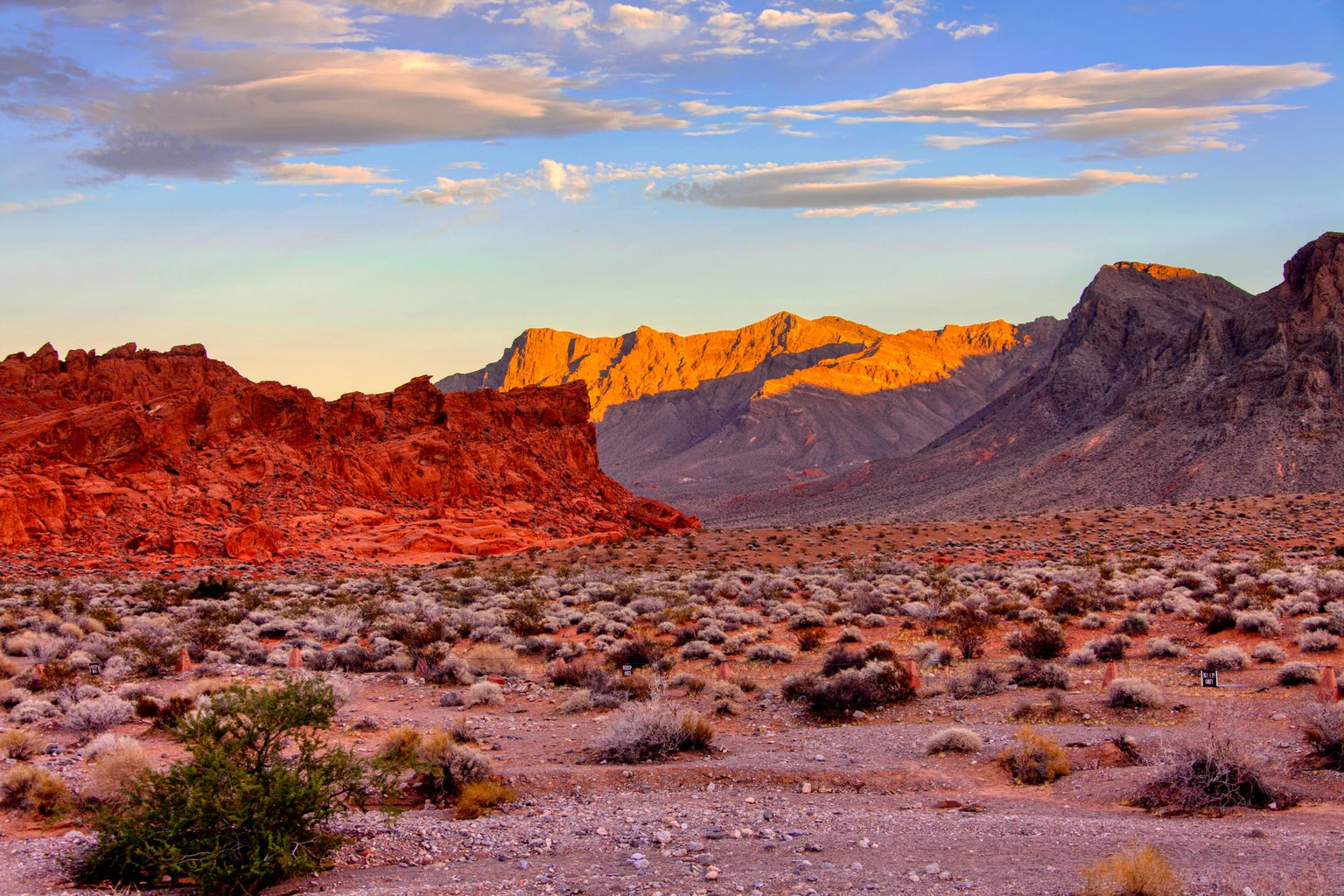 Best Property Management Companies in Nevada (2025 Comparison)