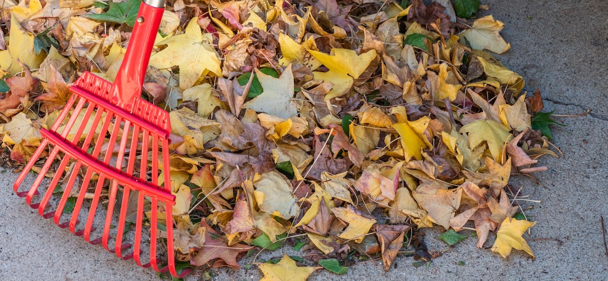 Raking leaves should be on every fall maintenance and cleaning checklist for rental homes