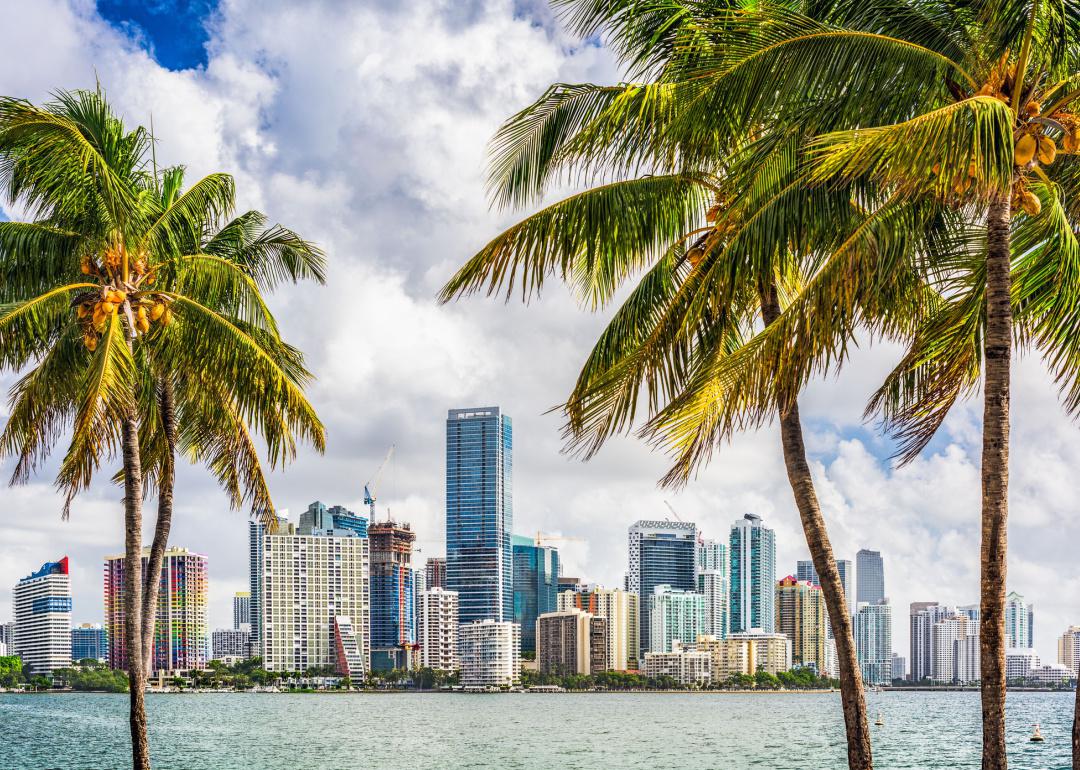 Palm trees and skyline of Miami
