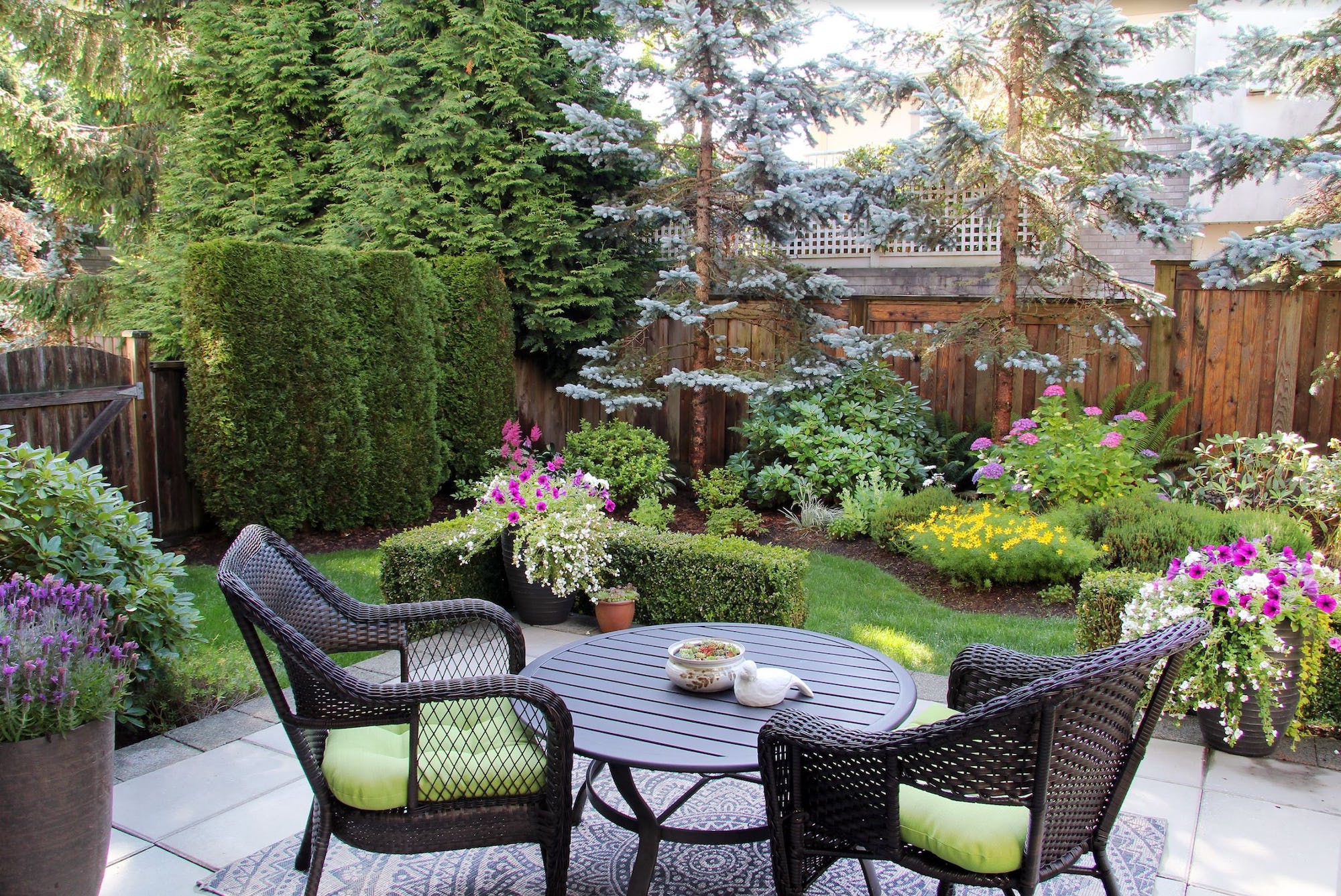 A lush back garden, providing an attractive backyard for a rental home