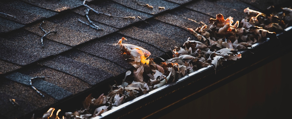 An image of leaves in roof gutters, a must-do job for landlords to add to your fall maintenance checklist
