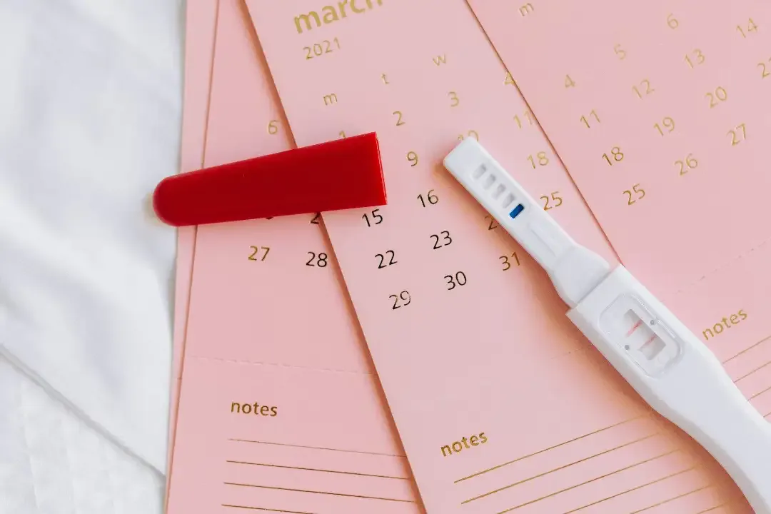 symptômes de l’ovulation