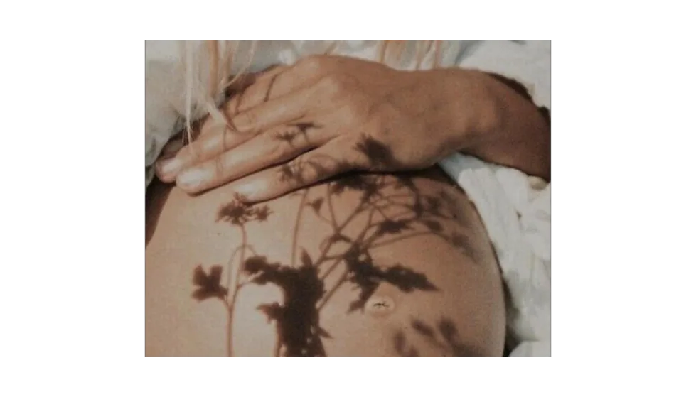 compléments alimentaires