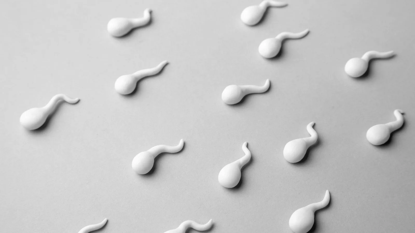 le rôle de la glaire cervicale 