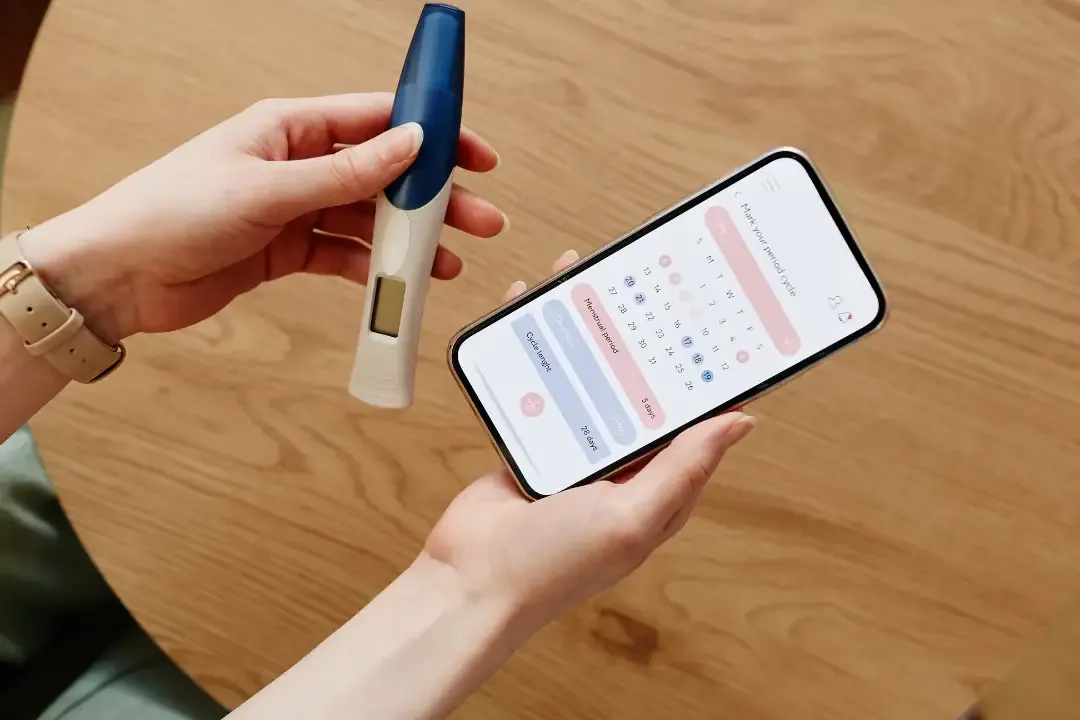 Ovulation – Calcul – Fertilité