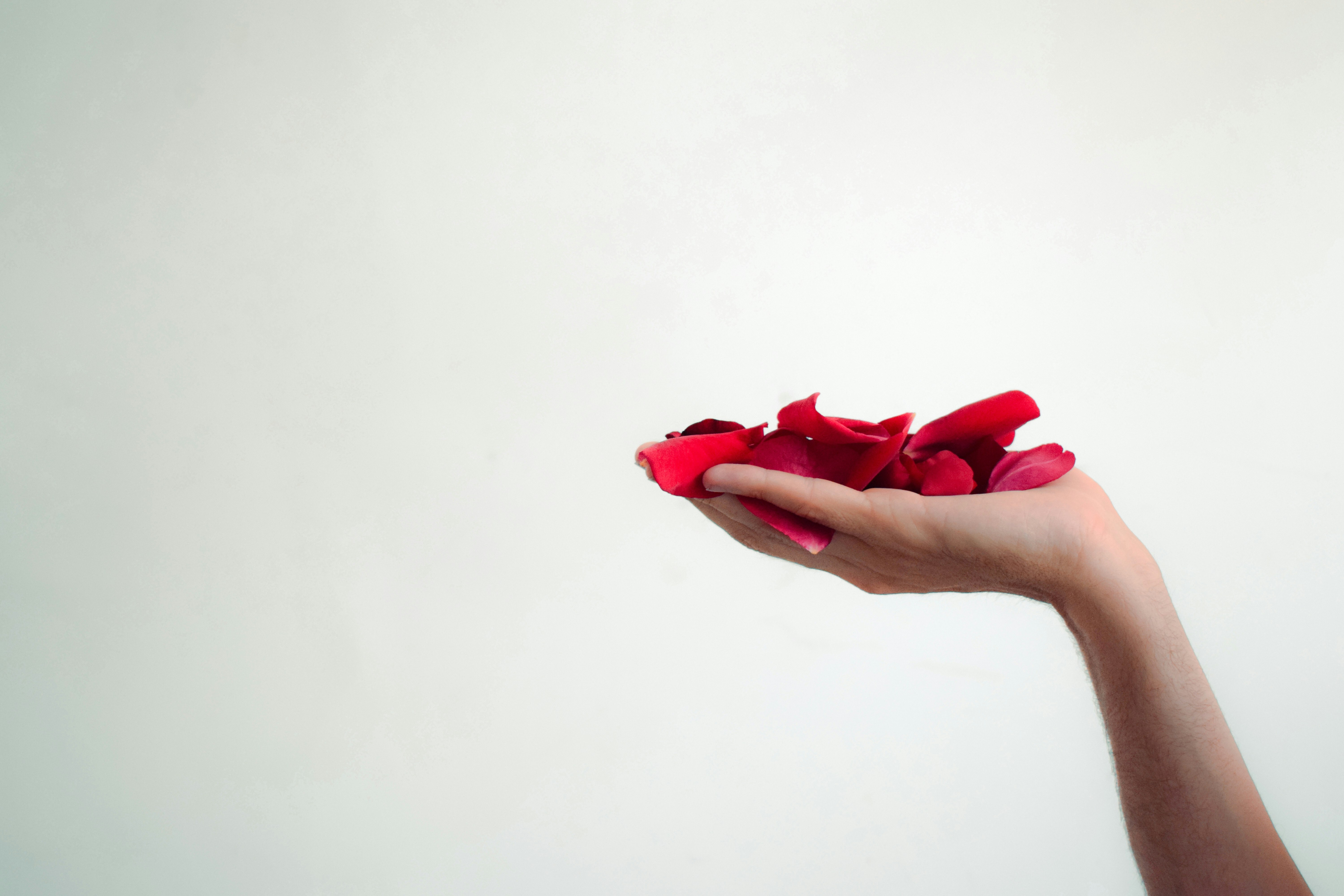 Endométriose : recettes pour réduire les symptômes