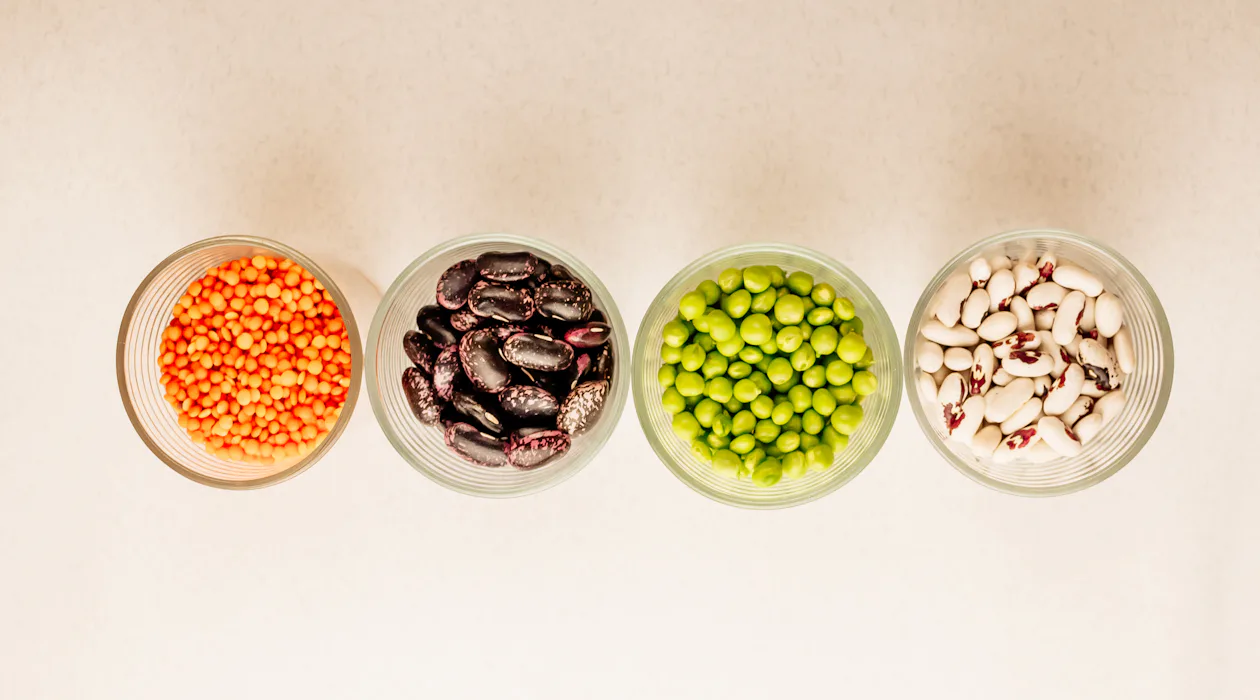 ensemble de différentes légumineuses séchees
