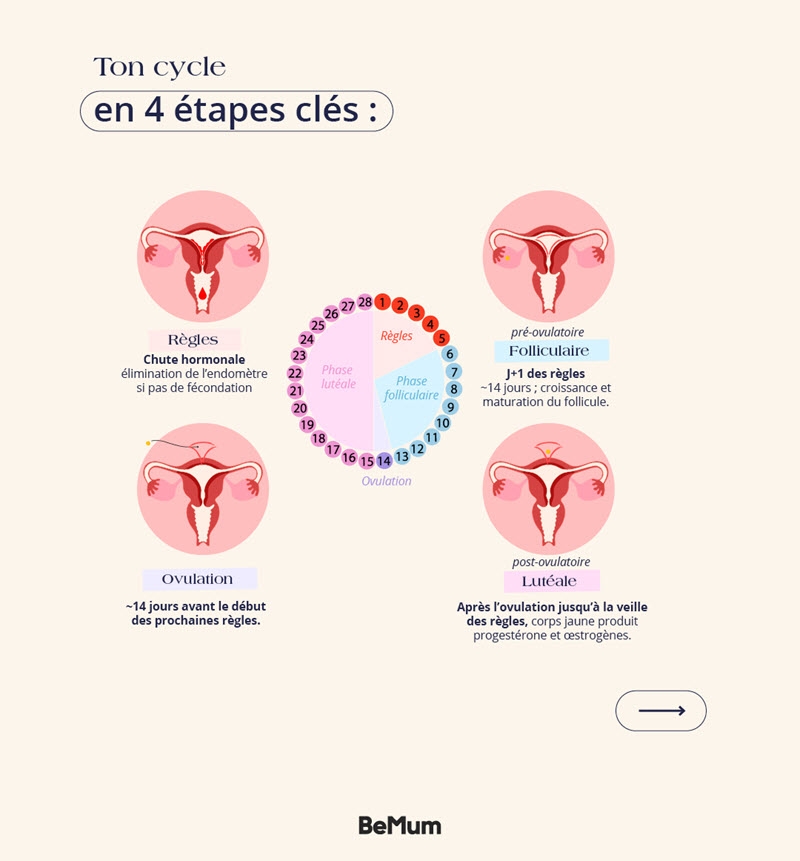 meilleur moment pour tomber enceinte