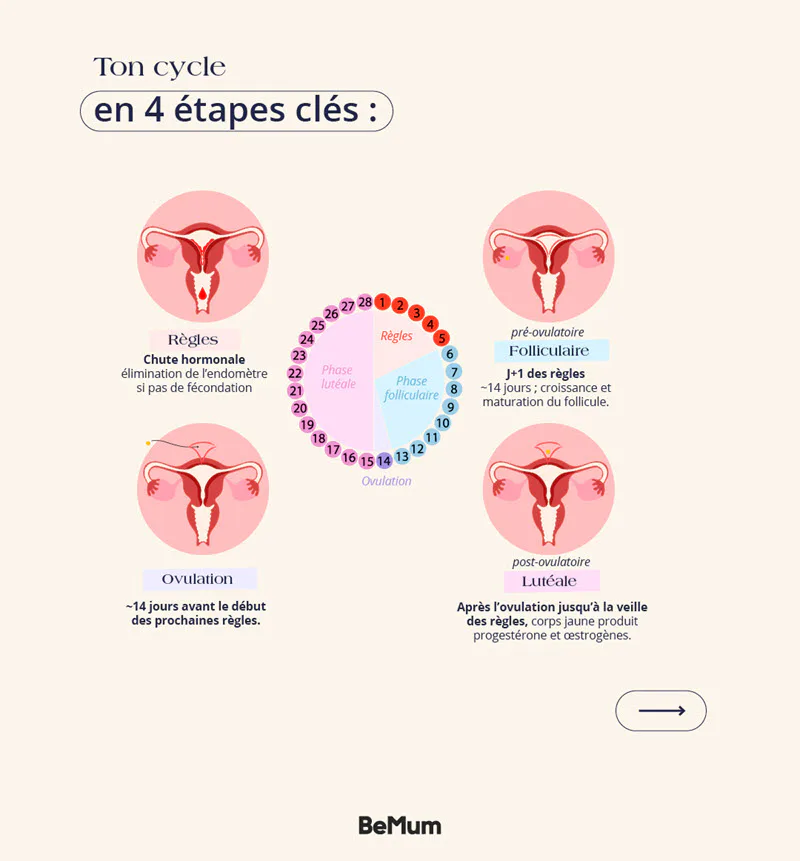 meilleur moment pour tomber enceinte