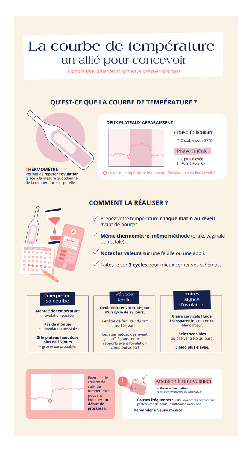 courbe de température ovulation