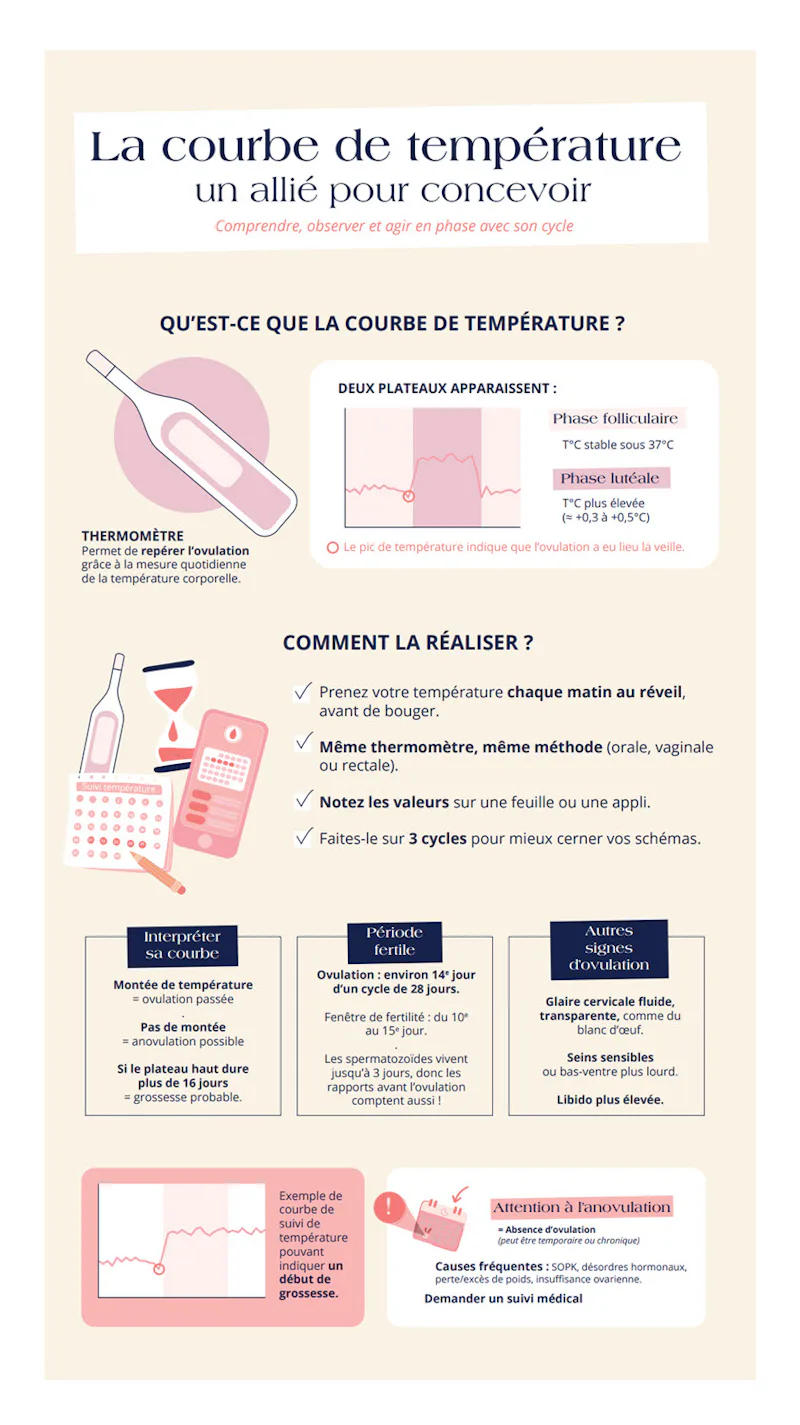 courbe de température ovulation