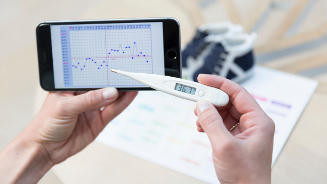 courbe-temperature-grossesse