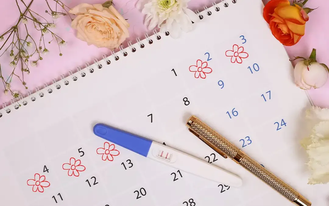 Comment calculer sa date d'ovulation ?