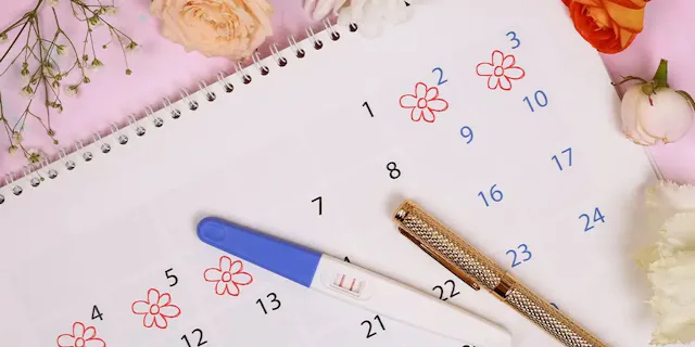 Comment calculer sa date d'ovulation ?