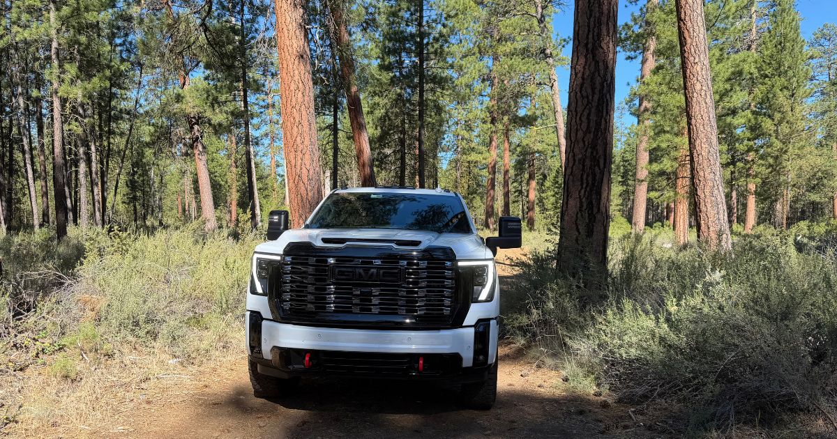 Truck in the woods