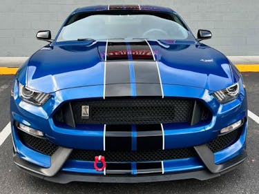 paint protection film application