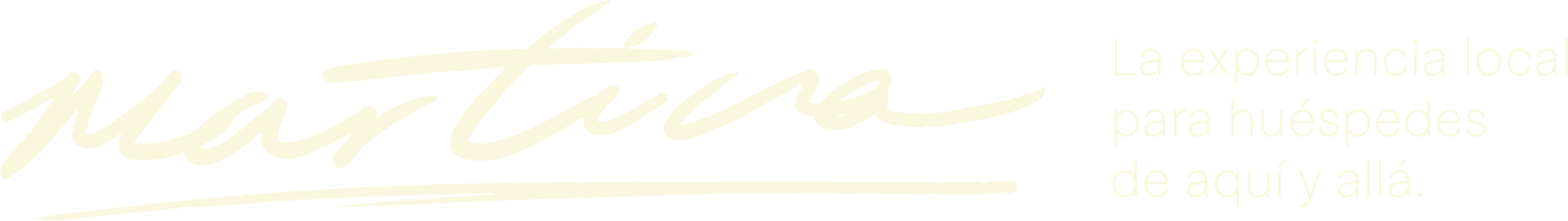 logotipo en manuscrita que dice "martina", acompañado de una leyenda que dice "la experiencia local para huéspedes de aquí y allá". 
