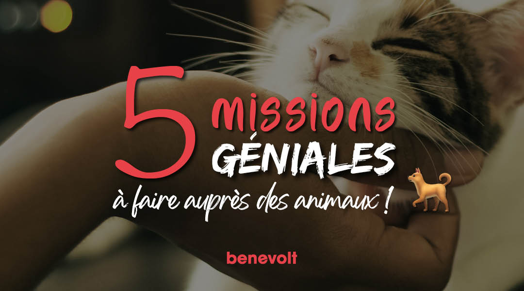 5 missions de bénévolat géniales pour s’occuper de nos